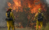 Số người thiệt mạng do cháy rừng tại California, Mỹ tăng lên 40