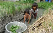 Thương 3 chị em mồ côi quần áo rách bươm, chạy ăn từng bữa