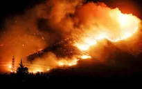 Chile: Cháy rừng lớn nhất trong 50 năm