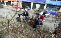 CNN chọn chợ hoa Quảng Bá là 1 trong 15 nơi tuyệt nhất để đón Tết