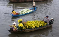 Sắc màu rực rỡ trên chợ nổi Cái Răng ngày Tết