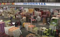 Chợ đầu mối Paris có thể trở thành kênh tiêu thụ nông sản Việt Nam