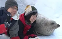 Chụp ảnh cùng hải cẩu ở thủy cung Hokkaido, Nhật Bản