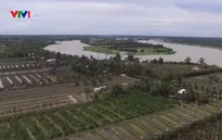 Sản xuất thích ứng với biến đổi khí hậu tại ĐBSCL