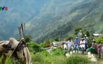 Liên Hợp Quốc và Colombia hợp tác chống ma túy