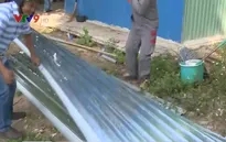TP.HCM: Tháo dỡ dãy nhà container chiếm đất dự án