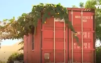 Vũng Tàu: Khó xử lý nhà container dựng trái phép trên đất quy hoạch