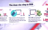 Người dân Bình Định mất tiền tỷ vì... cú click chuột