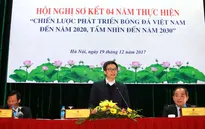 Phó Thủ tướng Vũ Đức Đam: "Tại sao bóng đá phong trào, bóng đá thiếu nhi người ta xem như thế còn bóng đá chuyên nghiệp người ta không muốn xem?"