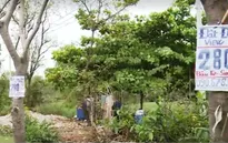 TP.HCM: Giá đất nền vùng ven đã chững lại