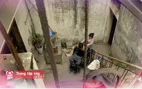 Chuyện tình cổ tích của cô gái bị rối loạn tuyến yên và chàng trai ngồi xe lăn