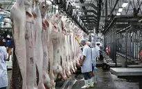 Đồng Nai đề xuất TP.HCM tiêu thụ 10.000 con heo/ngày