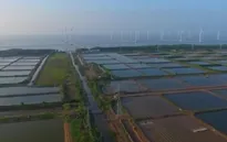 Thúc đẩy năng lượng tái tạo: Thời cơ đã đến