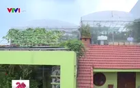 Việc tử tế: Nhân rộng mô hình đô thị xanh tại Hải Phòng