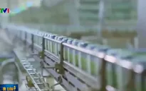 Doanh nghiệp kiến nghị vì bị truy thu cả chục tỷ đồng tiền thuế