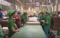 Đa dạng hóa thị trường xuất khẩu - Doanh nghiệp gỗ hạn chế rủi ro