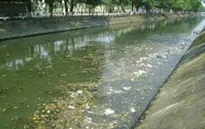 Báo động ô nhiễm nguồn nước: Giật mình từ những con số