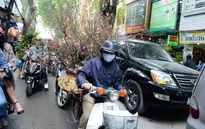 Chợ hoa Hoàng Hoa Thám rực rỡ ngày giáp Tết