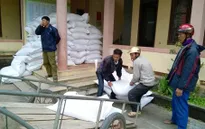 10 tỉnh đề xuất hỗ trợ gạo cứu đói Tết Nguyên đán
