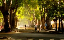 Ngày mai (8/4), nắng sẽ xuất hiện hầu khắp cả nước