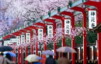 Cơ hội du học tại Nhật miễn phí trong ngành điều dưỡng chăm sóc