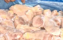 Đùi gà Mỹ nhập về Việt Nam giá chỉ 11.000 đồng/kg