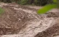 Khánh Hòa: Xe ben cày nát đường nông thôn