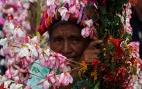 Lung linh lễ hội hoa ở El Savador
