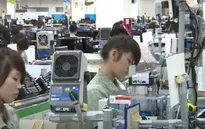 Cần thúc đẩy chuyển giao kỹ thuật giữa khu vực FDI và khu vực nội địa