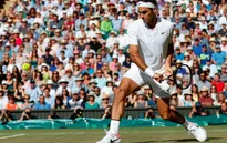 Roger Federer, Wimbledon 2017 & những thống kê ấn tượng