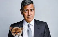 George Clooney phấn khích mong con chào đời