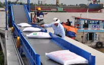 Xuất khẩu gạo sang Trung Quốc tăng mạnh