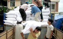 Hỗ trợ gạo cho người dân vùng bị ảnh hưởng do thiên tai
