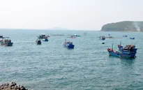 Không nuôi tôm hùm xâm phạm danh thắng gành Đá Đĩa