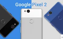 Google ra mắt Pixel 2 và Pixel 2 XL vào ngày 4/10