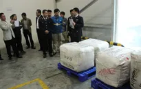Phát hiện lô hàng chứa vảy tê tê ở sân bay Nội Bài