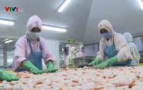 EU cảnh báo rút thẻ vàng với hải sản Việt Nam
