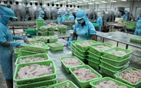 Nỗ lực thoát "thẻ vàng" của ngành thủy sản