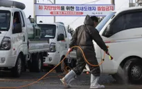 Hàn Quốc phòng ngừa dịch cúm gia cầm