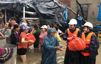 Vùng lũ cần hỗ trợ gạo, thuốc men, cây giống