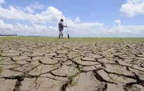 Brazil báo động hạn hán trầm trọng nhất trong 17 năm qua