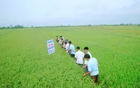 Câu chuyện của những HTX điển hình trong nông nghiệp (17h25, ngày 3/3, VTV1)