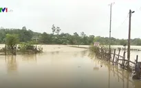 Hàng nghìn ha lúa, hoa màu và nhà dân ngập sâu trong nước lũ