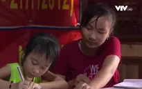 Cặp lá yêu thương: Đóa hoa súng vô thường