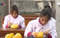 Mô hình liên kết đào tạo doanh nghiệp và nhà trường ở Huế