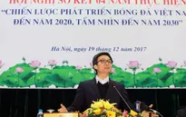 VIDEO: Hội nghị sơ kết thực hiện chiến lược phát triển bóng đá Việt Nam
