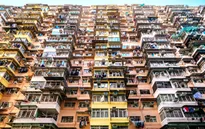 Làn sóng căn hộ siêu nhỏ ở Hong Kong (Trung Quốc) gia tăng chóng mặt