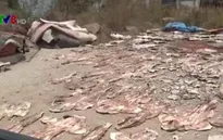 Nha Trang: Hải sản khô được phơi… ngay gần bãi rác