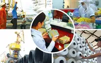 Hoàn thiện Đề án tái cơ cấu DNNN giai đoạn 2016 - 2020