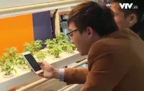 Cơ hội “vàng” cho DN khởi nghiệp Việt Nam với Internet kết nối vạn vật